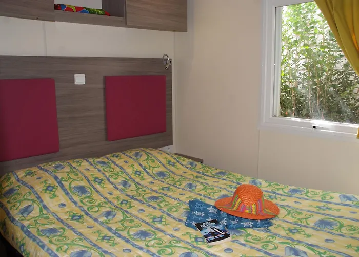 Vallee Du Paradis Parque de Campismo 4*